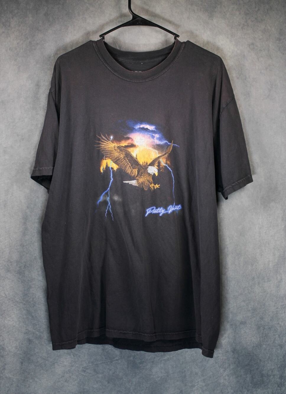 Pretty Vacant Bald Eagle Lightning Graphic Tee XL Black Thunderstorm T-Shirt